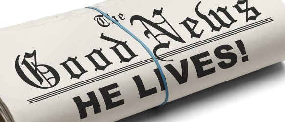 News and Updates